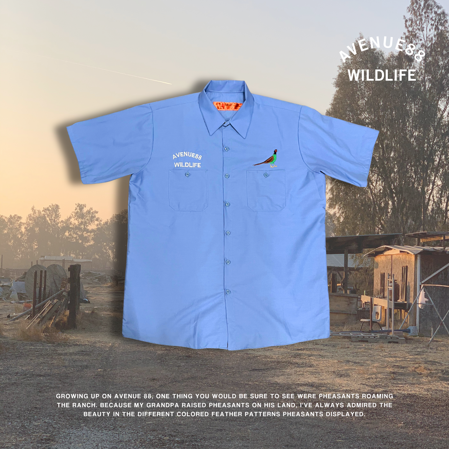 Avenue88 wildlife Light blue workmen shirt